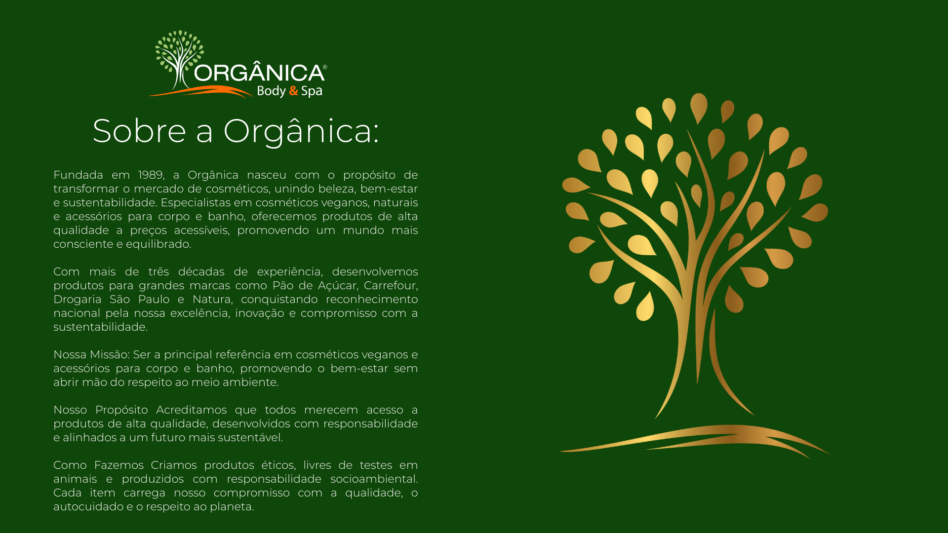 Lançamento 9
